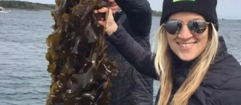SEAWEED ENTREPRENEUR: A WOMAN NAMED BETH ZOTTER