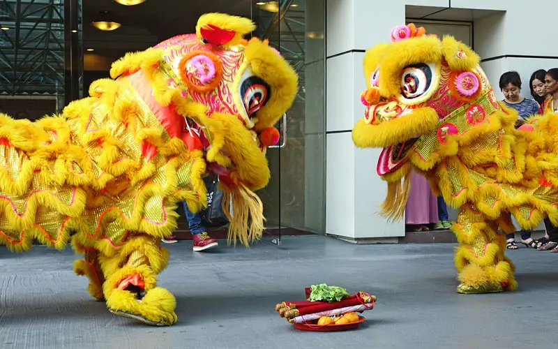 lion and dragons