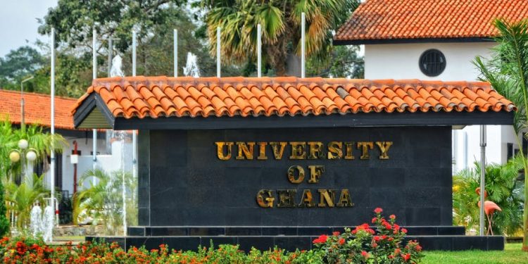 university